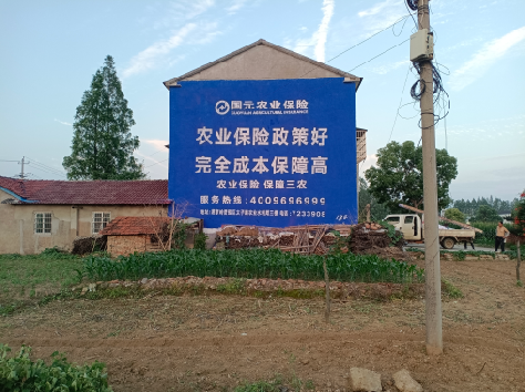 鹰潭墙体广告的优劣势你知道吗？